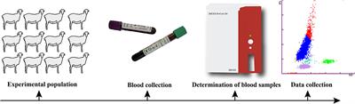 Expression Profiles of the Ovine IL18 Gene and Association of Its Polymorphism With Hematologic Parameters in Hu Lambs